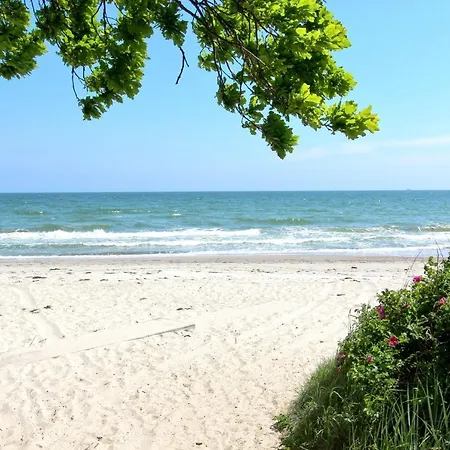 Strandnahe Rex Rugia: Terrace & Ahoi Access Apartment *